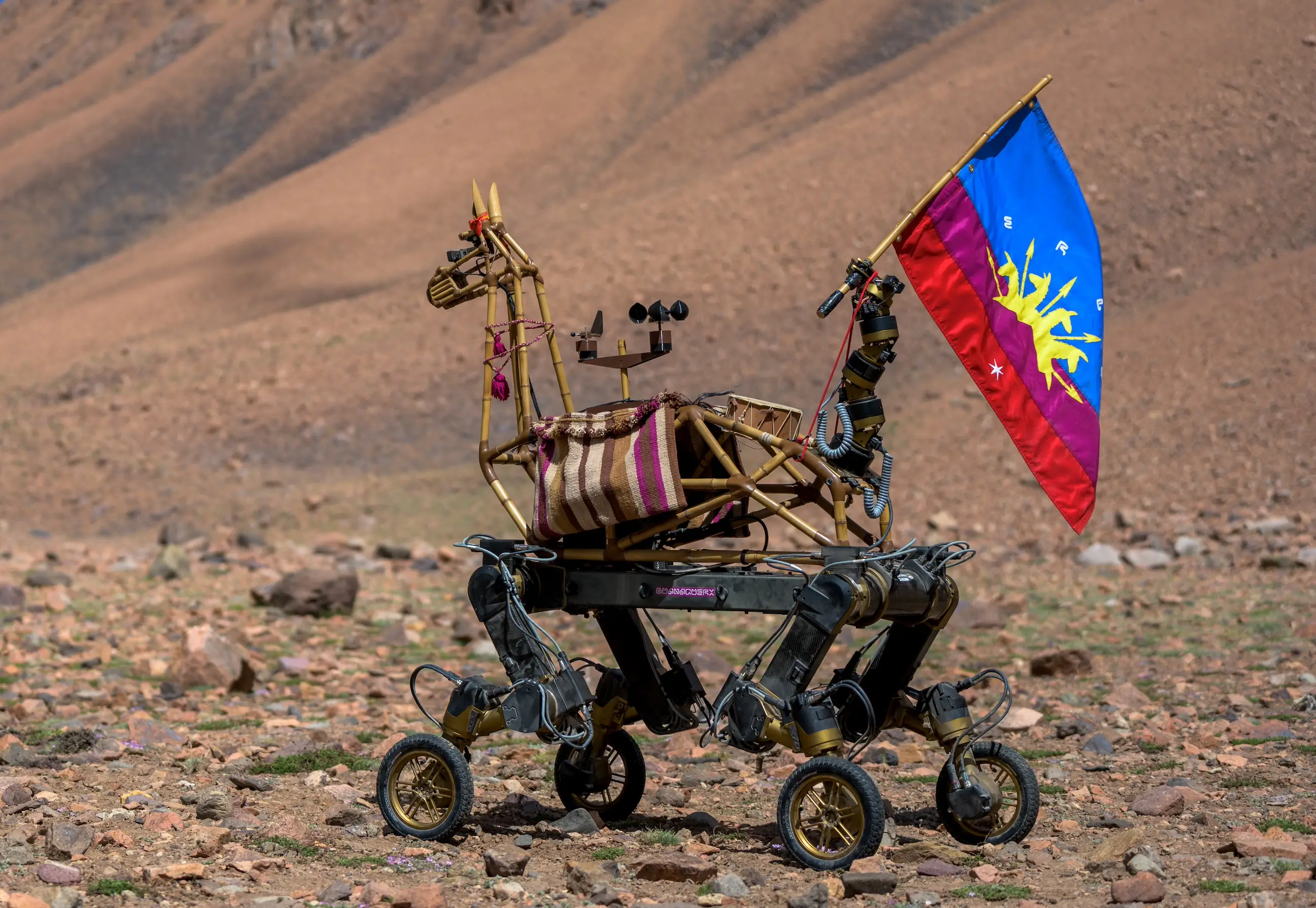 Robot flag y weather station